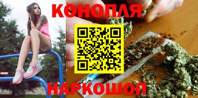 гидра Беслан