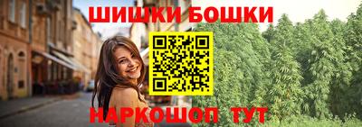 шишки Бийск