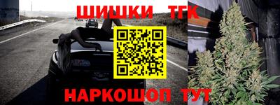 гидра Беслан