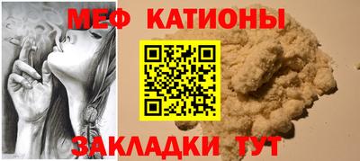 шишки Бийск