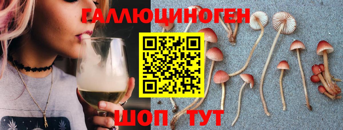 Богданович  Галлюциногенные грибы Cubensis  Вход с VPN 