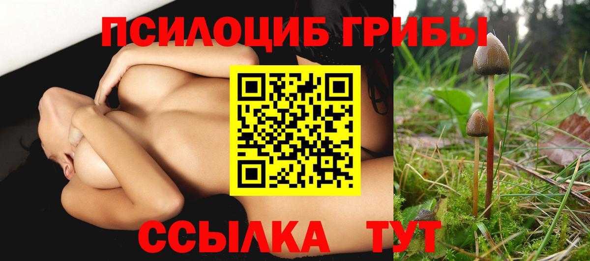Псилоцибиновые грибы ЛСД Богданович